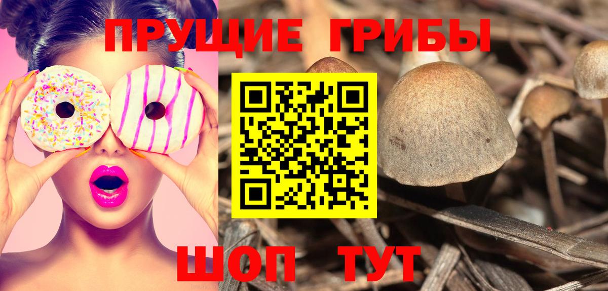 Псилоцибиновые грибы мицелий Реутов