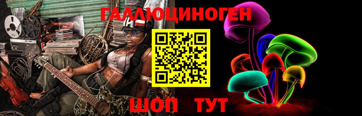 дарнет шоп  Псилоцибиновые грибы Psilocybe  Вход с VPN  Реутов 